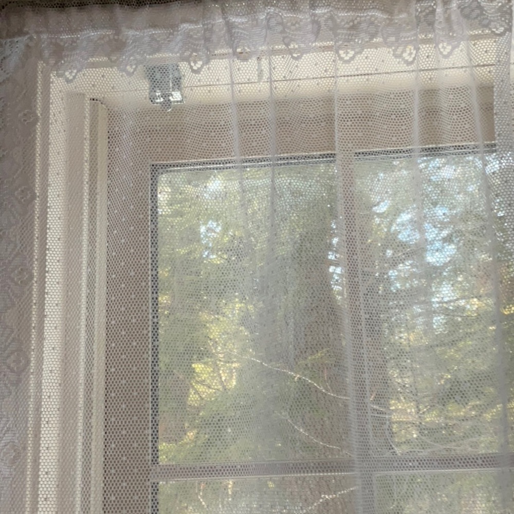 White Lace Goose Pattern Curtain - Picture 9 of 16